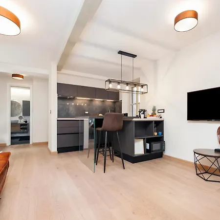 Dc Ii Downtown Apartment